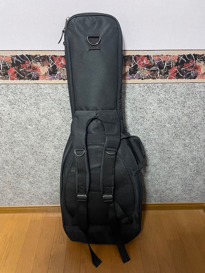 美品　ゴダン　Godin Session HT ストラト