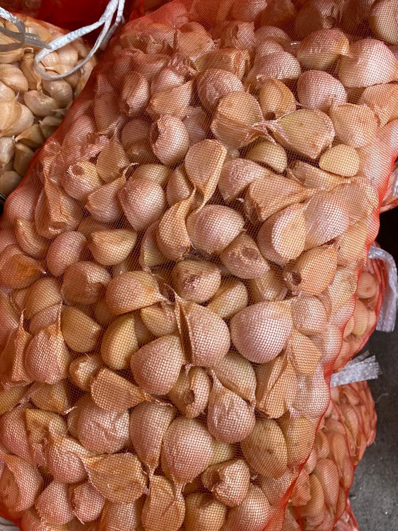 新物　青森県バラにんにく10Kg大