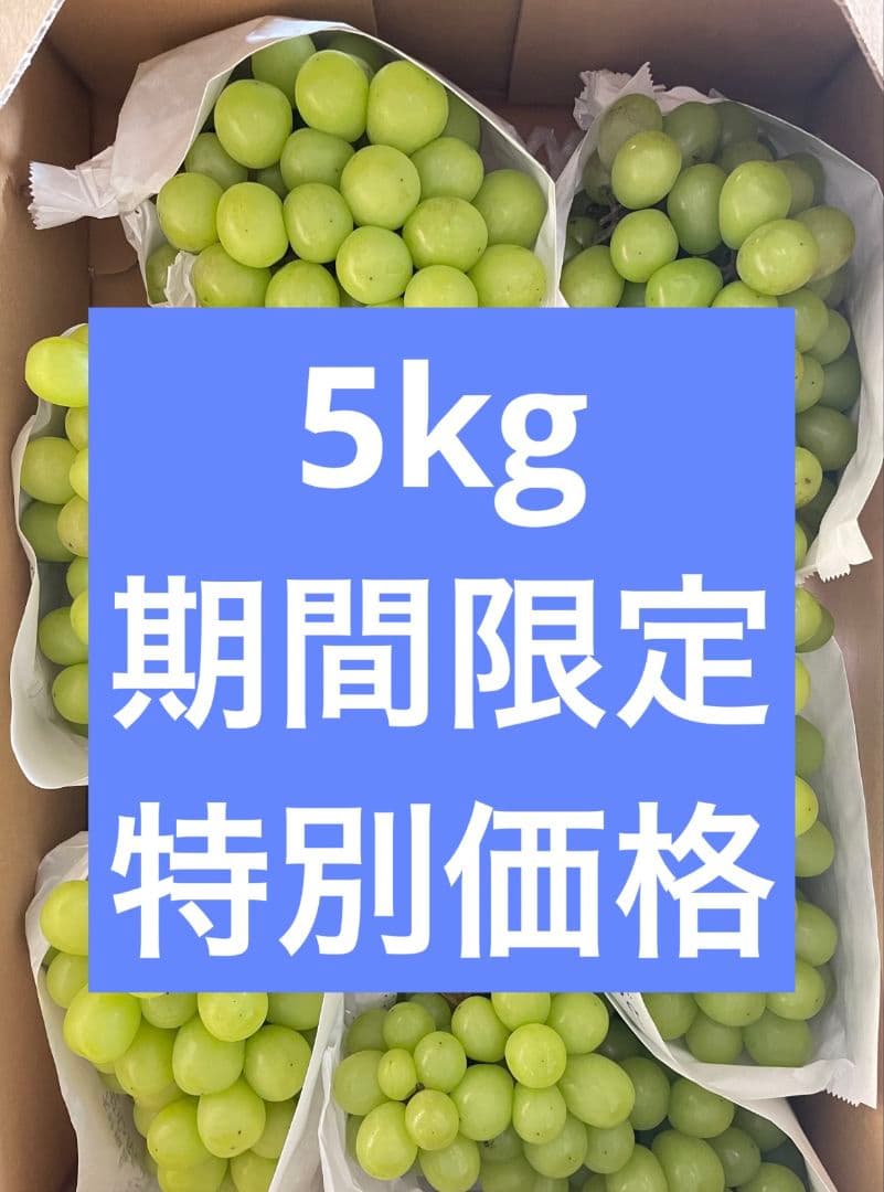 シャインマスカット5kg 房入り 訳あり ラスト