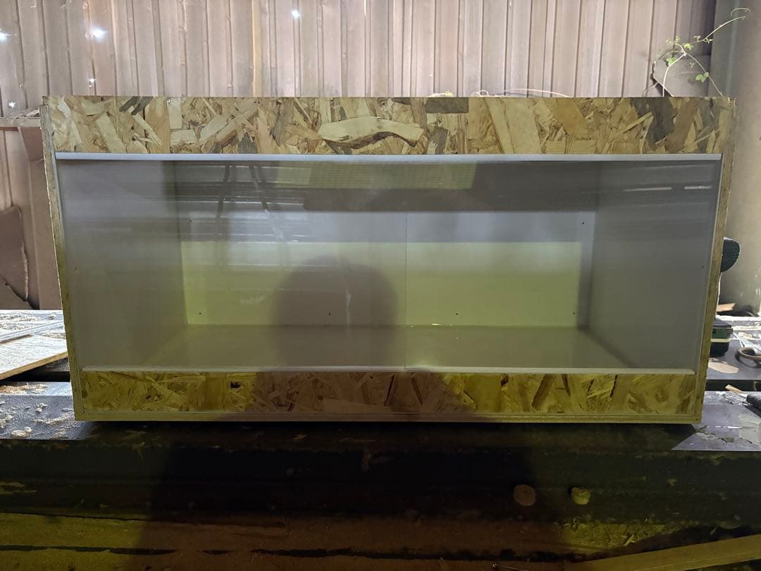 パクチー　853535 オプションお写真2枚目掲載