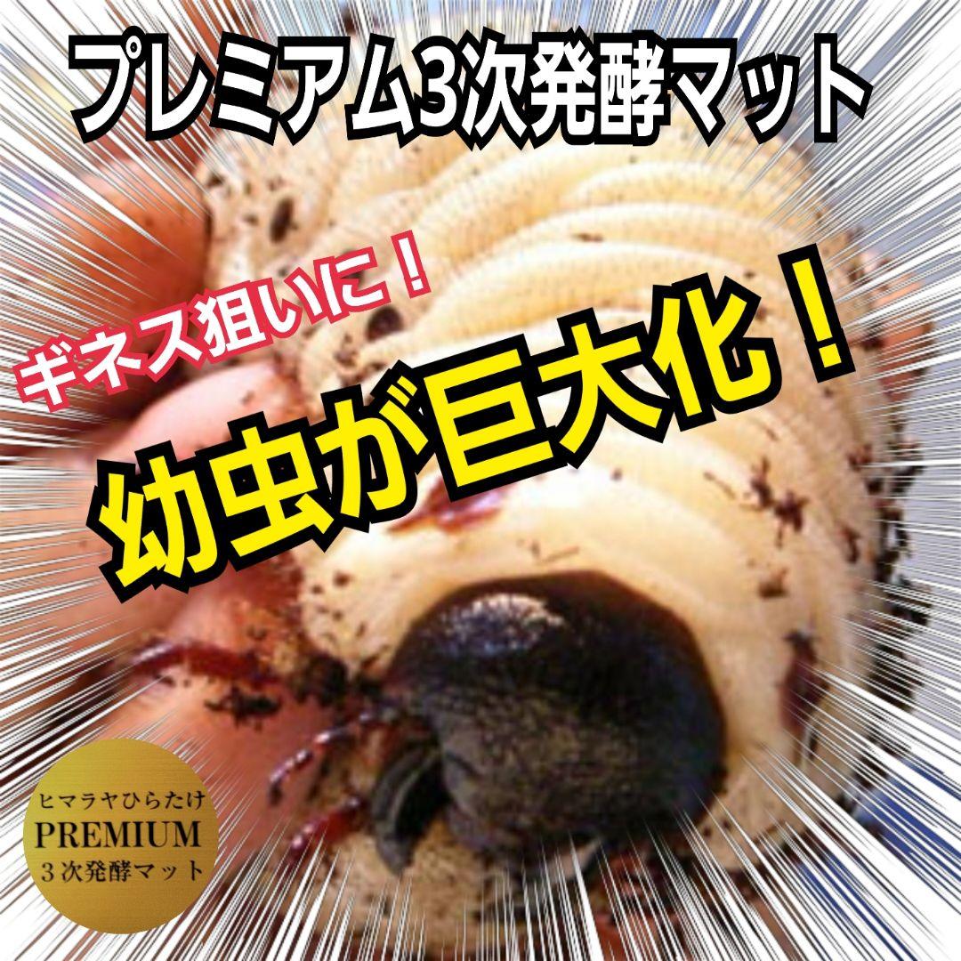 カブトムシ幼虫が巨大化！プレミアム3次発酵マット【200リットル】産卵にも抜群！