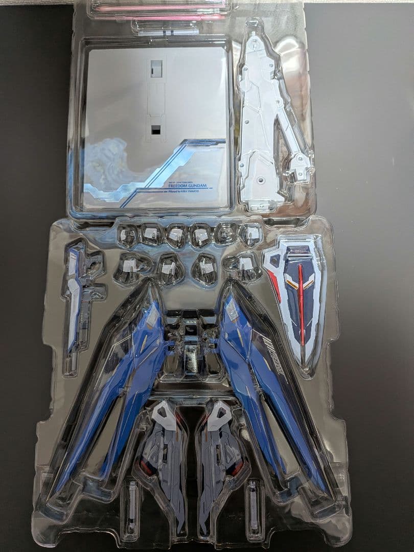 L BUILD フリーダムガンダム　  SPARKLE Ver.