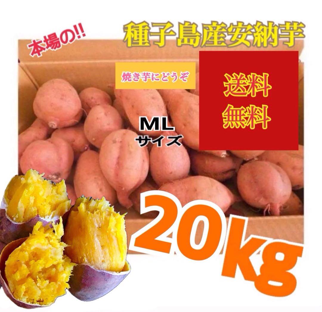 安納芋種子島産　MLのサイズ20kgさつまいも王道 どんと　#10