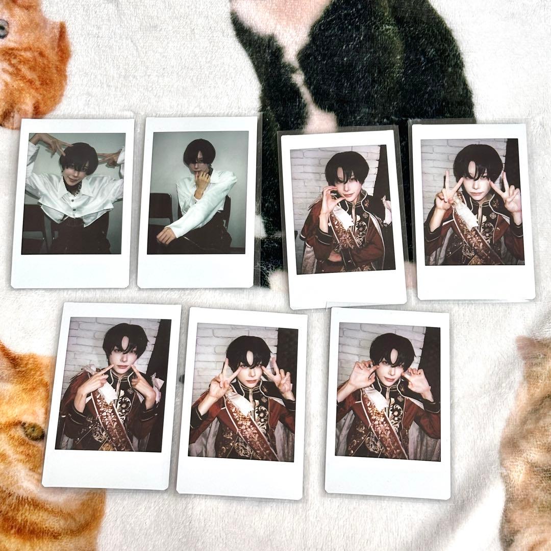 おじぎ　チェキ　まとめ売り