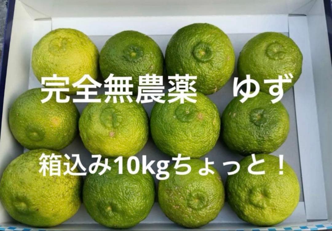 完全無農薬　ゆず　柚子　箱込み10kgちょっと入ります！