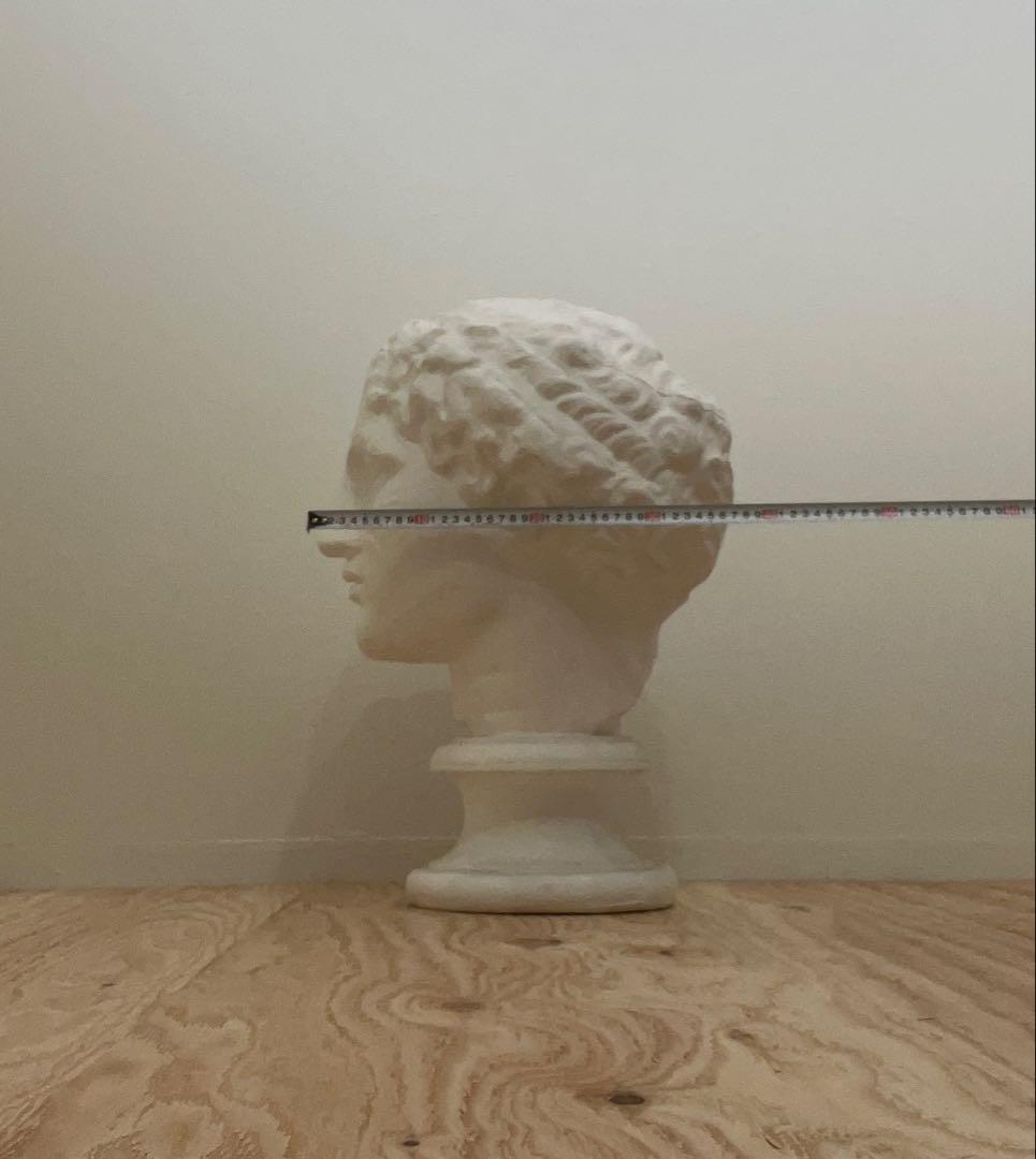 石膏像 石膏 ラボルト パルテノン　首像