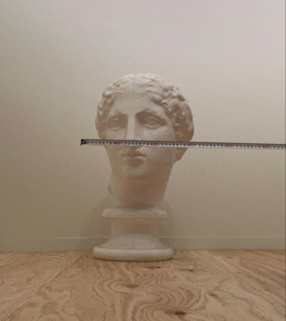 石膏像 石膏 ラボルト パルテノン　首像