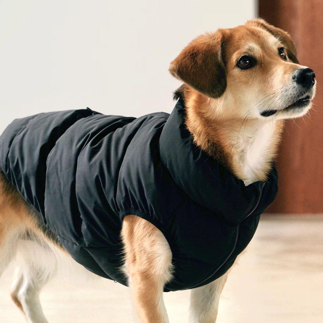 CushyCushy CUSHY PUFFER VEST ブラック サイズ8