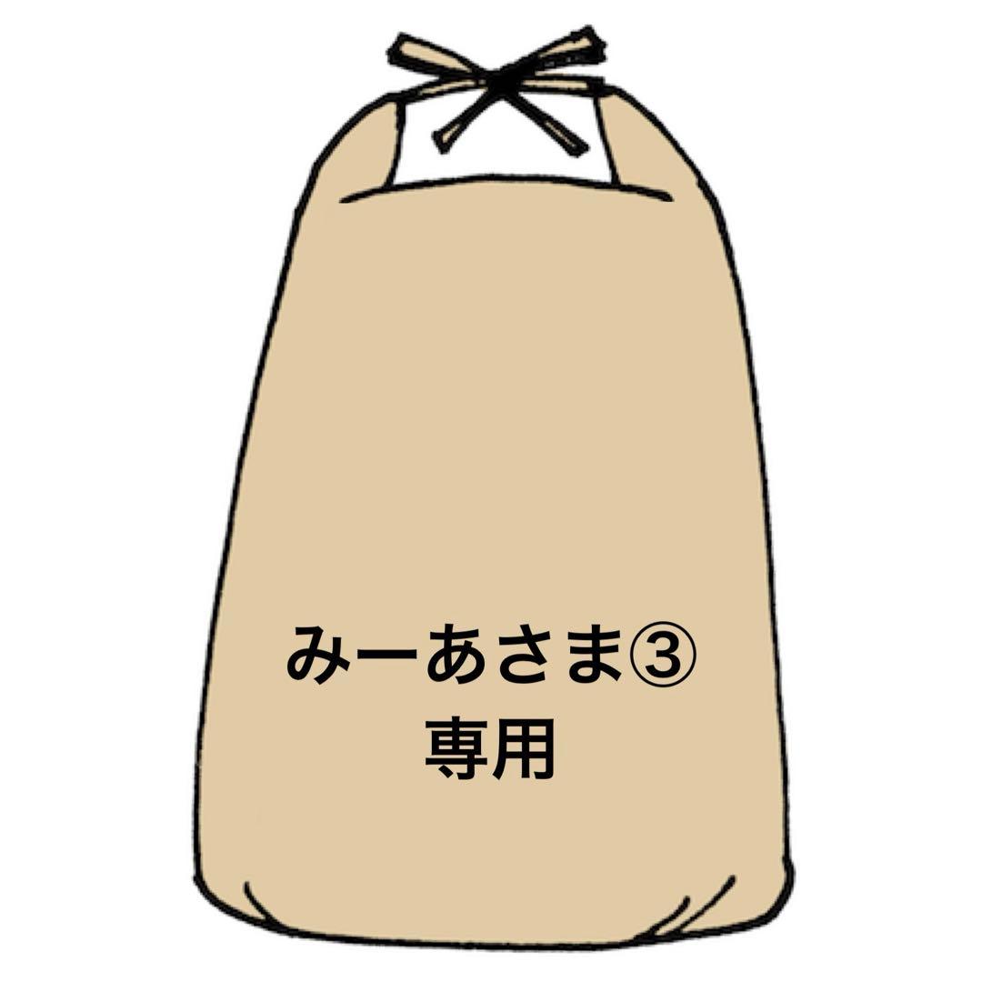 ✨みーあさま③専用