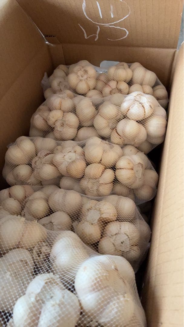 新物　青森県にんにく20Kg M