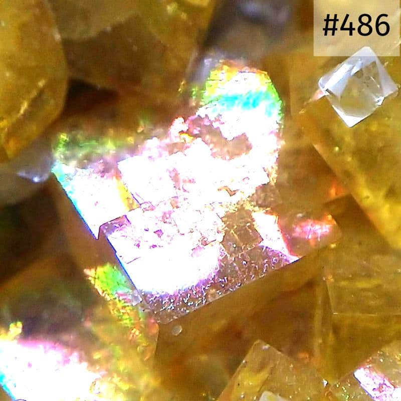486 イリデッセンス フローライト＆クォーツ ドイツ産