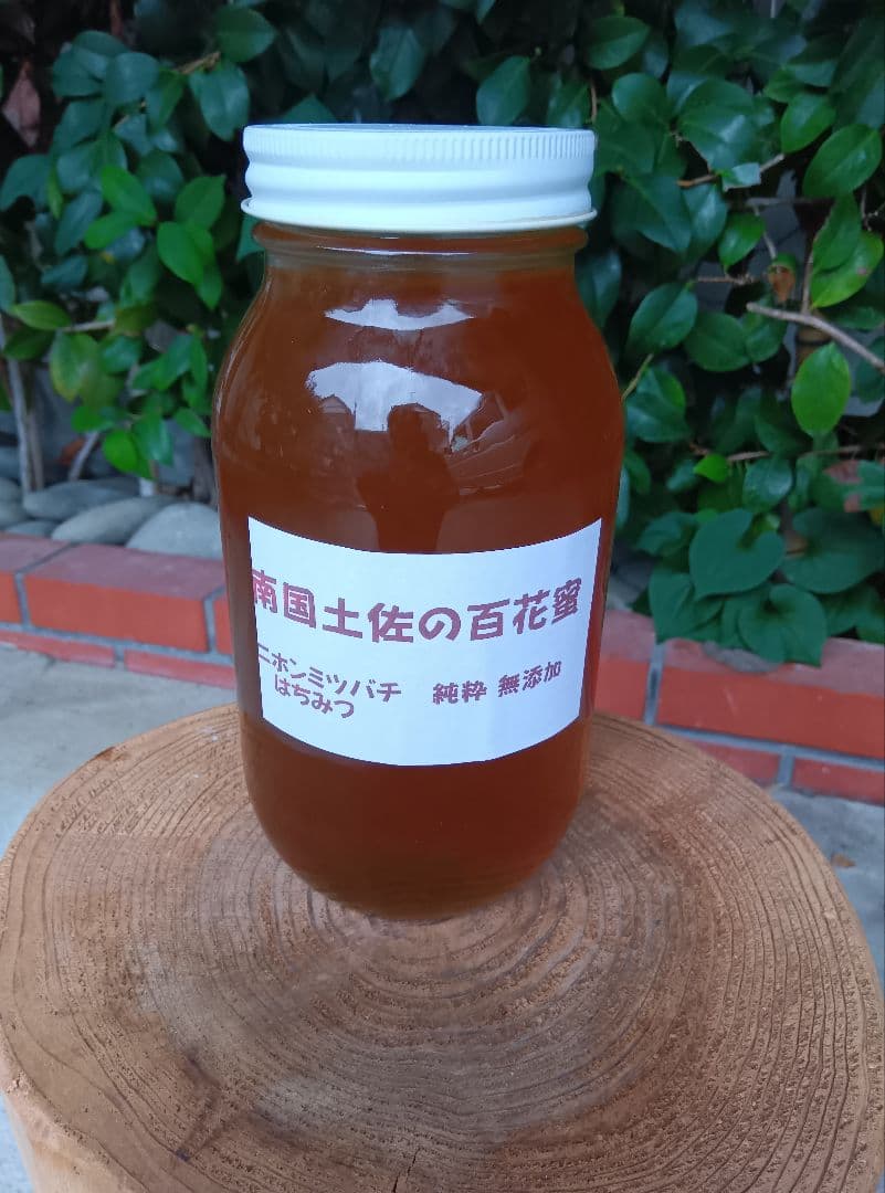 南国土佐の百花蜜　ニホンミツバチはちみつ　無添加　無加工　非加熱　1170g