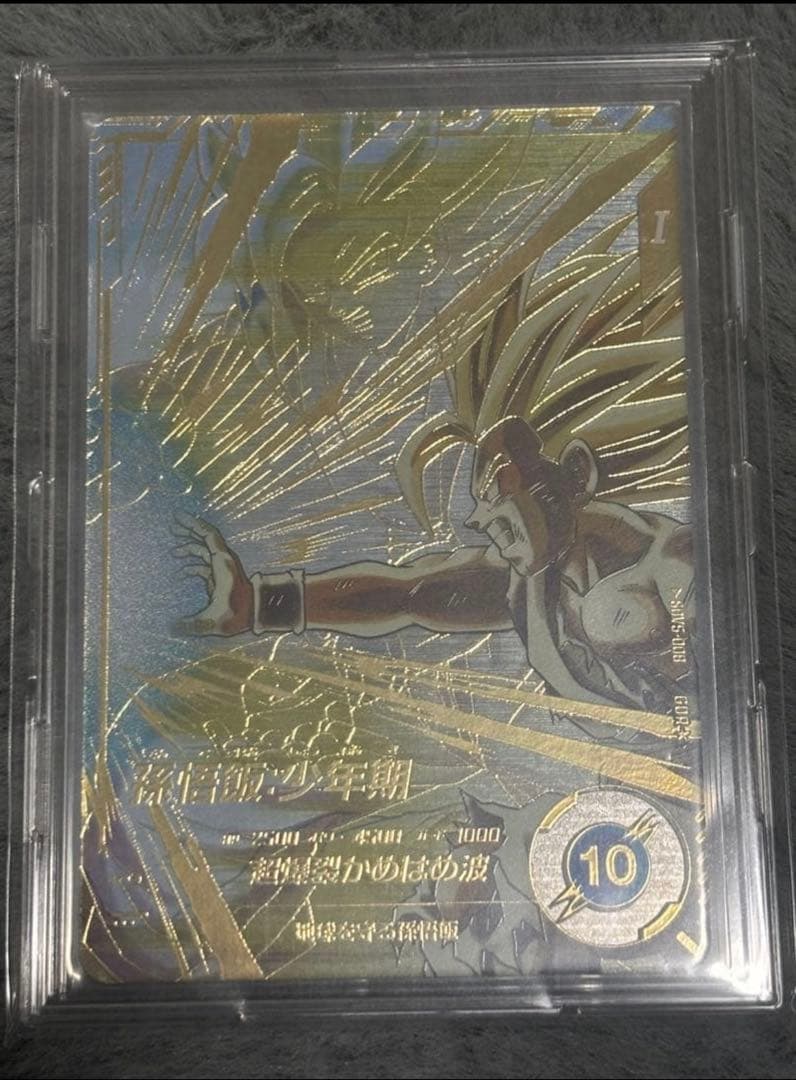 孫悟飯少年期 SDV5-008