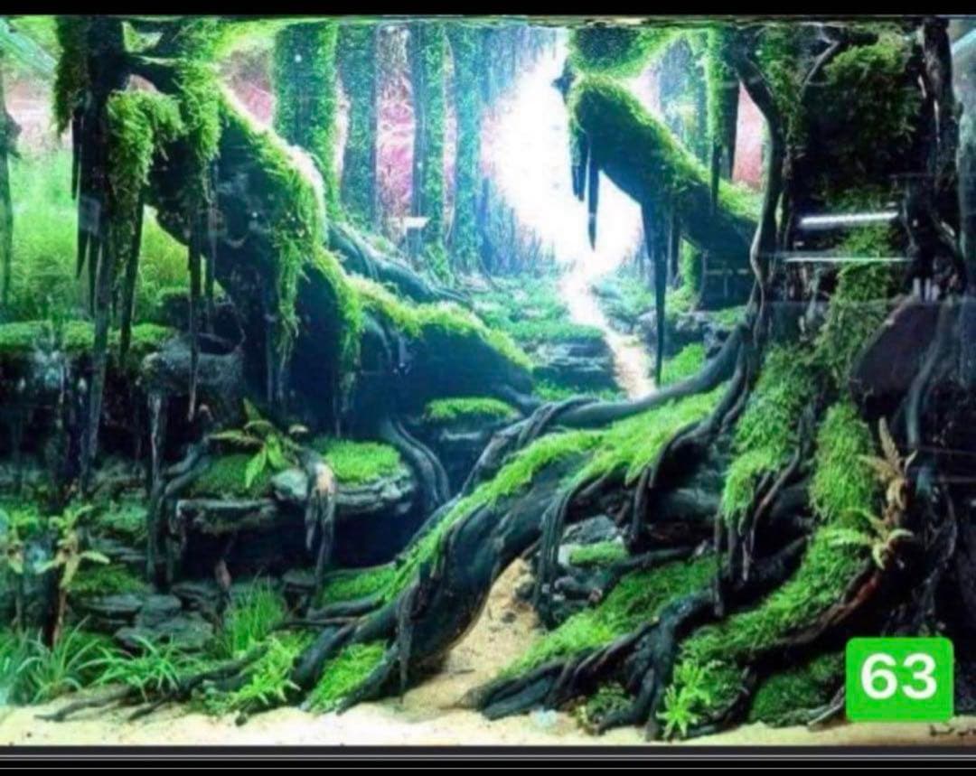 TTD 24160 【⭐︎Hiro様⭐︎】【美品・数量限定】