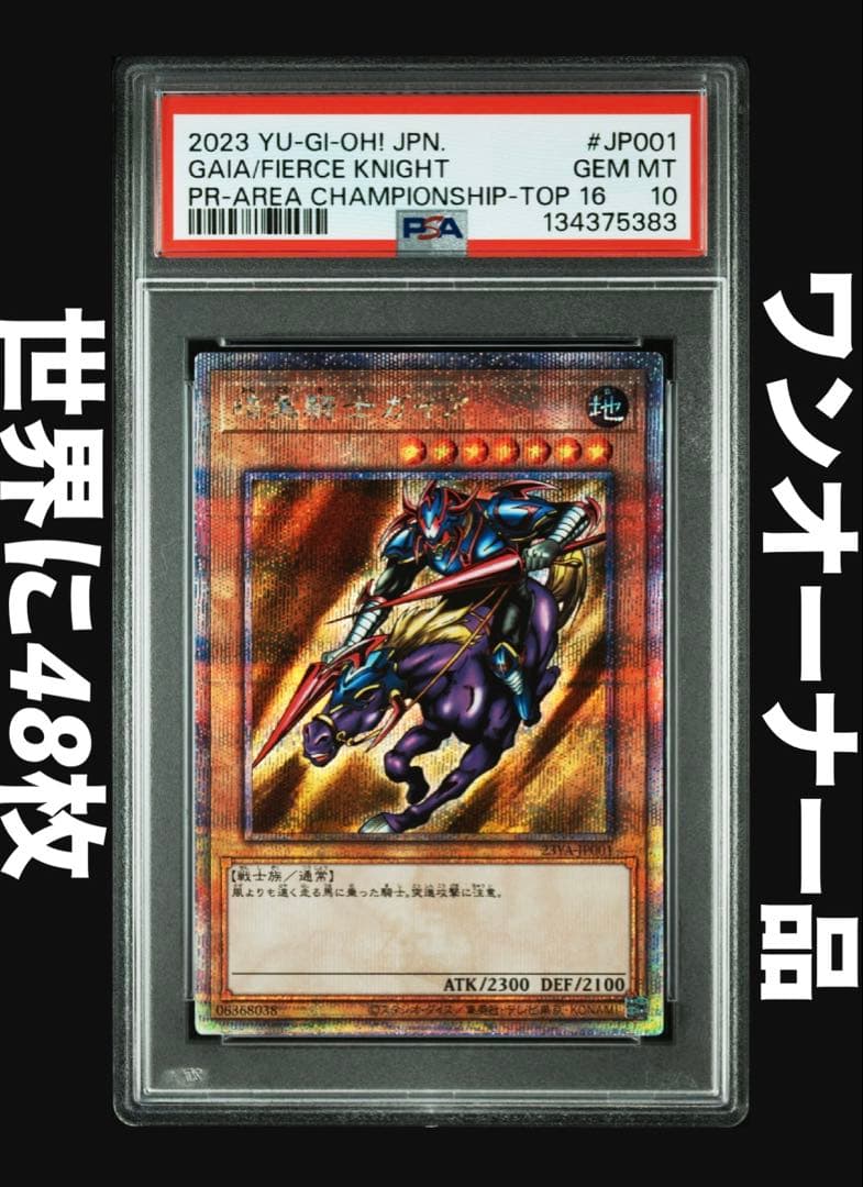 青*D様 暗黒騎士ガイア　25th PSA10 世界に48枚