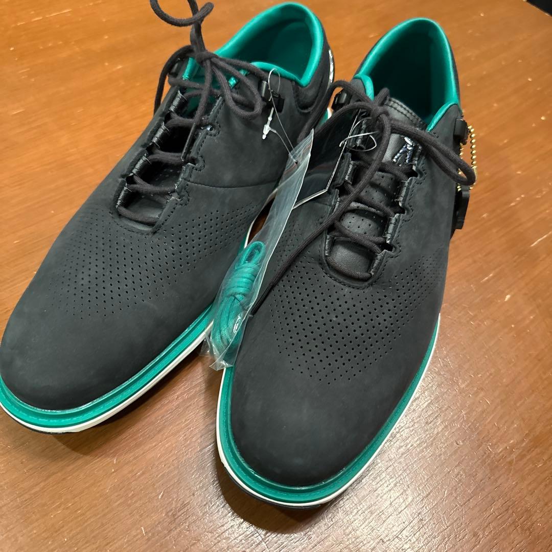 Jordan ゴルフシューズ ブラック/グリーン