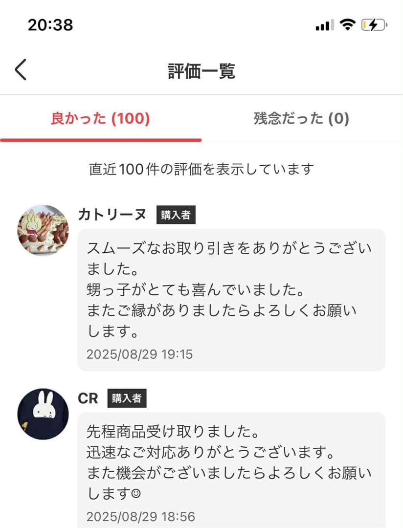 残りわずか！【正規品・未開封】Labubu Big into Energy 2箱