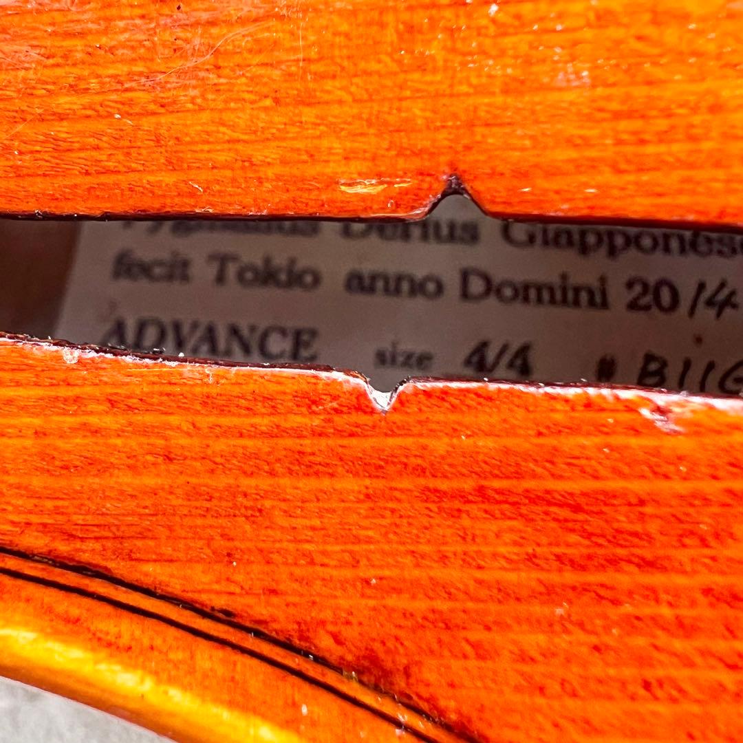 【希少】ヴァイオリン4/4 Pygmalius 'ADVANCE' 2014年製