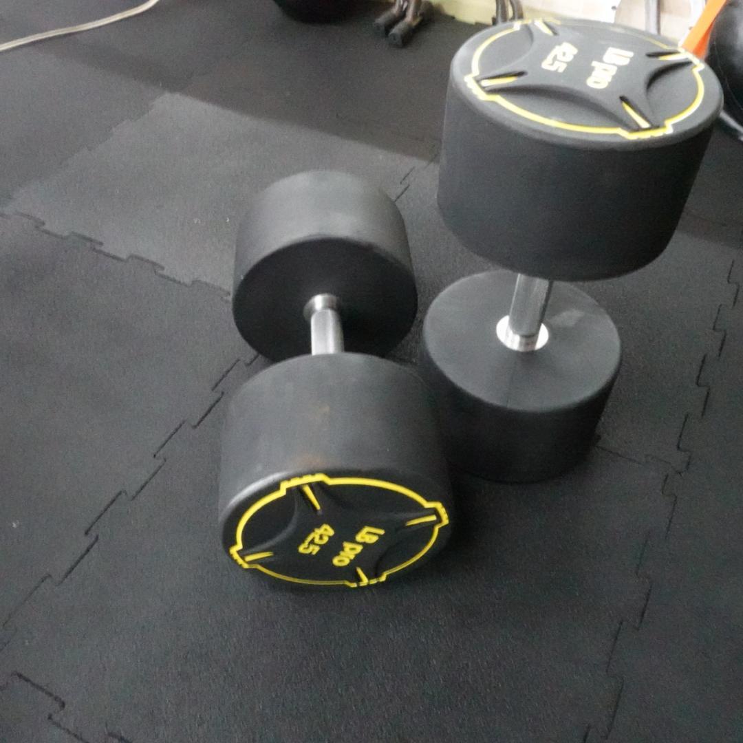 TPUダンベル　32.5kg 2個　計　75㎏