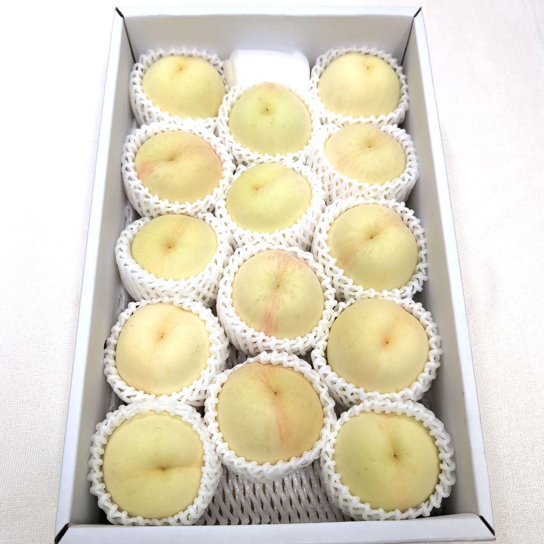 岡山県産 白桃 白皇 ロイヤル 14個入り