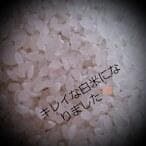 令和7年産 TAKEの棚田米 新米 美味しい米10㎏