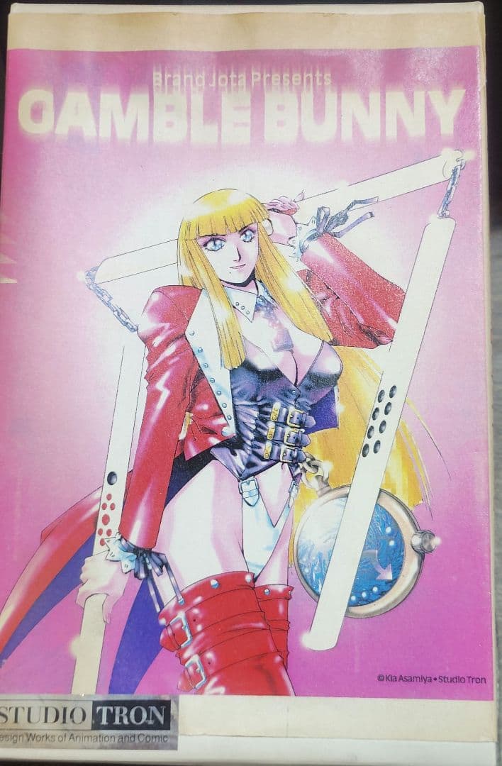 イオタ製ガレージキット 1/6 ギャンブルバニー