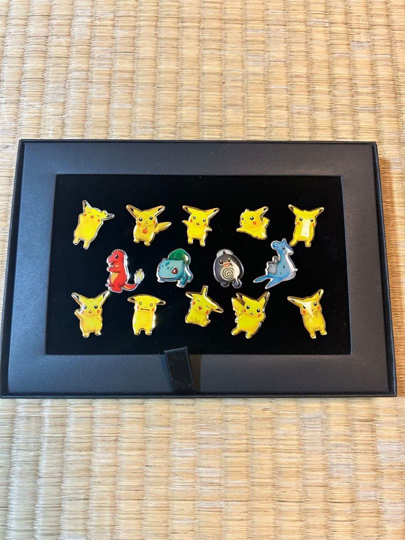 ＊激レア＊　ポケモン　ピンバッジ