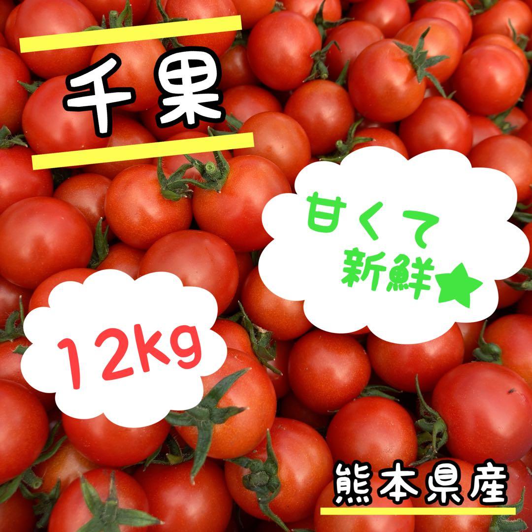 ミニトマト　12kg