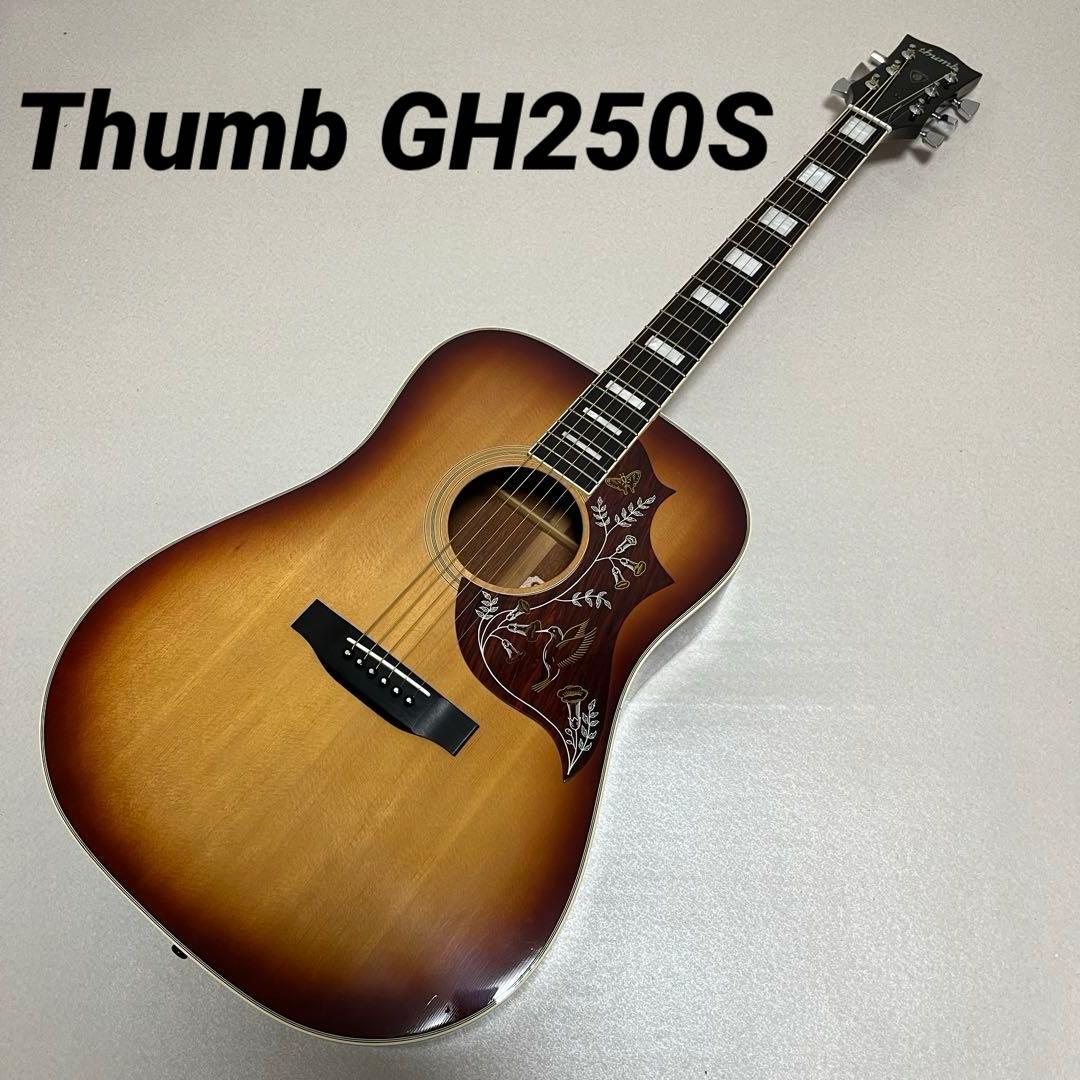 Thumb GH250S 寺田楽器 TERADA ハミングバード アコギ