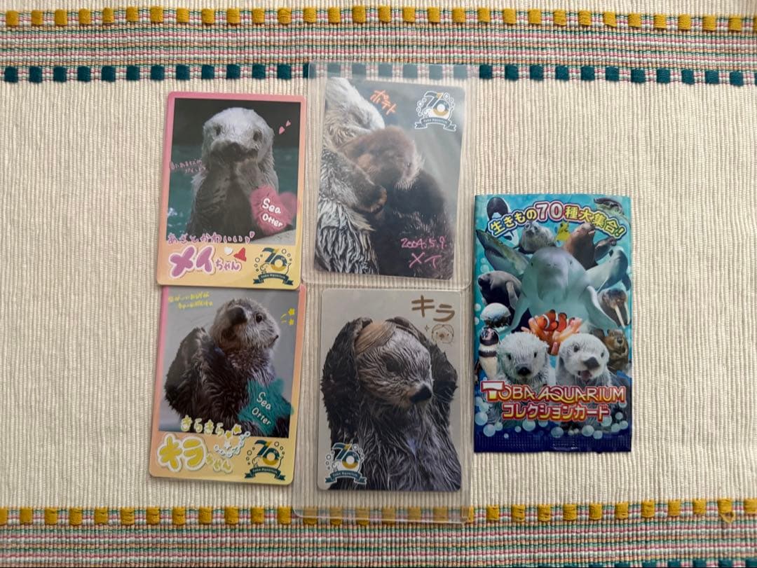 鳥羽水族館 70th コレカ ラッコ メイちゃん　キラちゃん　レア　ノーマル