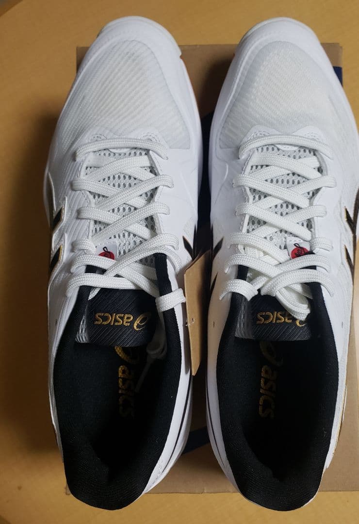 ゆきさま専用 バレーボールシューズ ROTE JAPAN LYTE 27.0cm