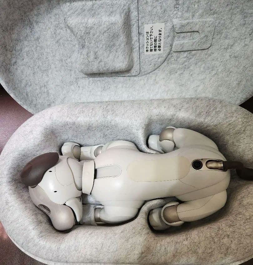 アイボ　aibo ERS-1000 SONY