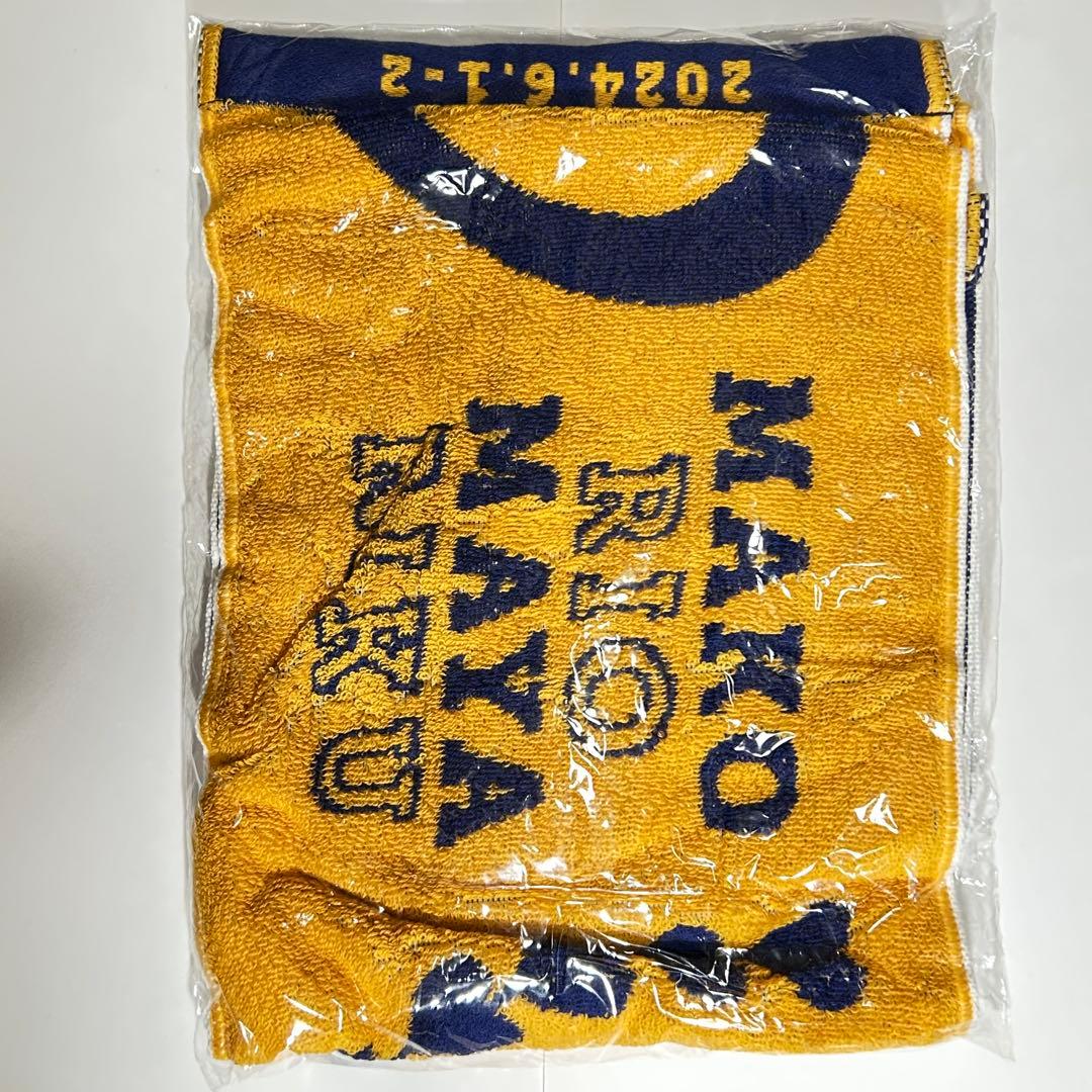 NiziU Fan Meeting with U 2024 マフラータオル 新品