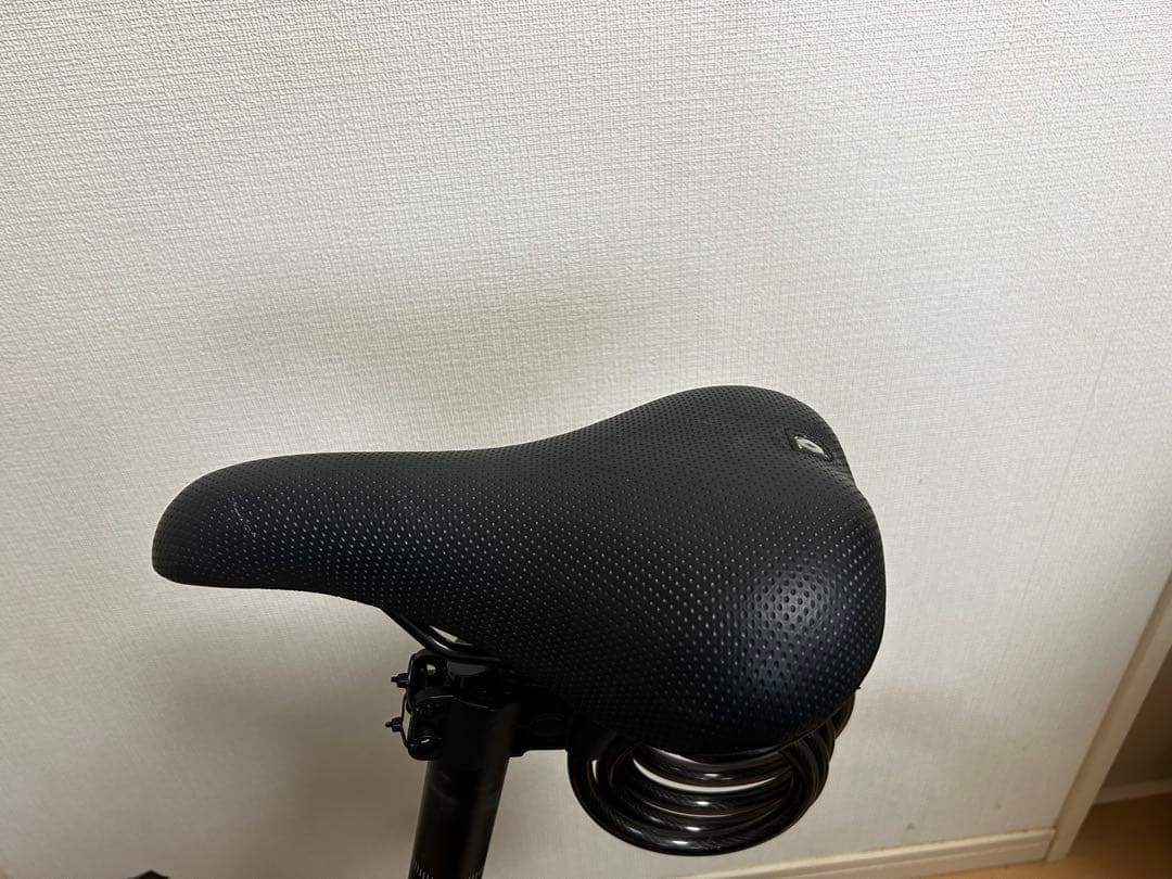 RENAULT LIGHT10 折りたたみ自転車 マットブラック