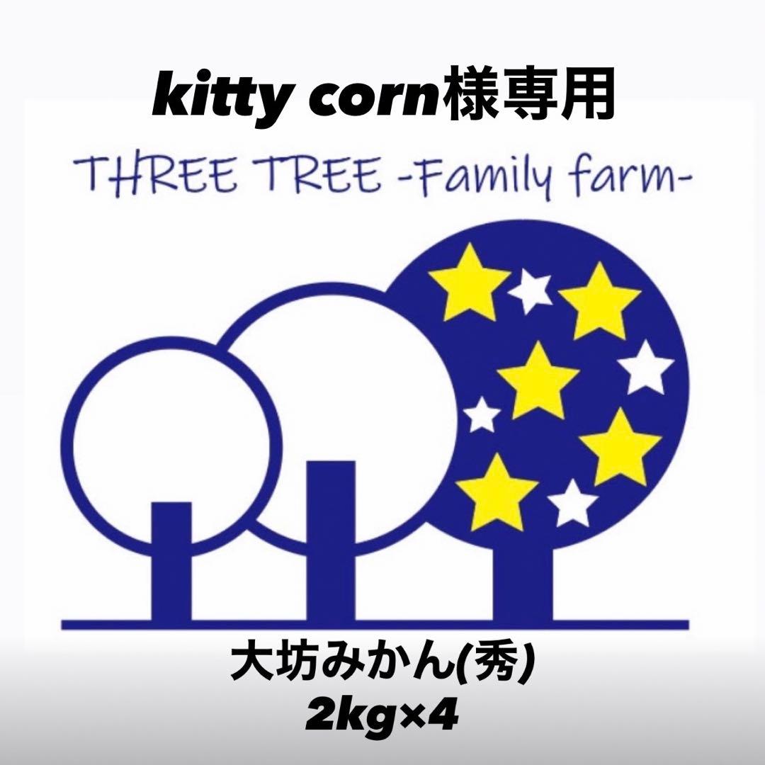 kitty corn! 温州みかん 樹熟大坊みかん 秀品2S、2kg×4