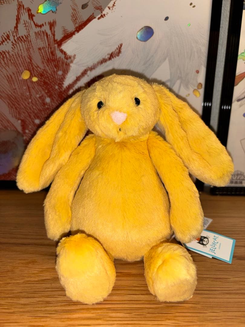 ジェリーキャット　サンシャイン　バニー　sサイズ