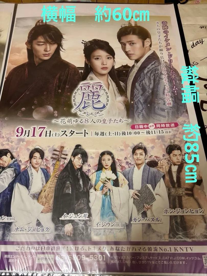 ★嫌がらせお断り★⭐︎レア⭐︎花萌ゆる8人の皇子たち～番宣用大型ポスター