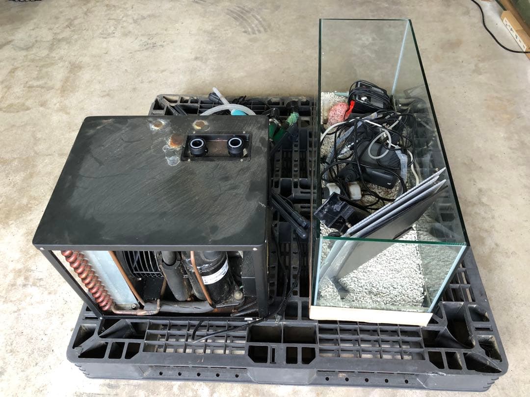 ズワイがに用大型アクリル水槽と冷却ユニット