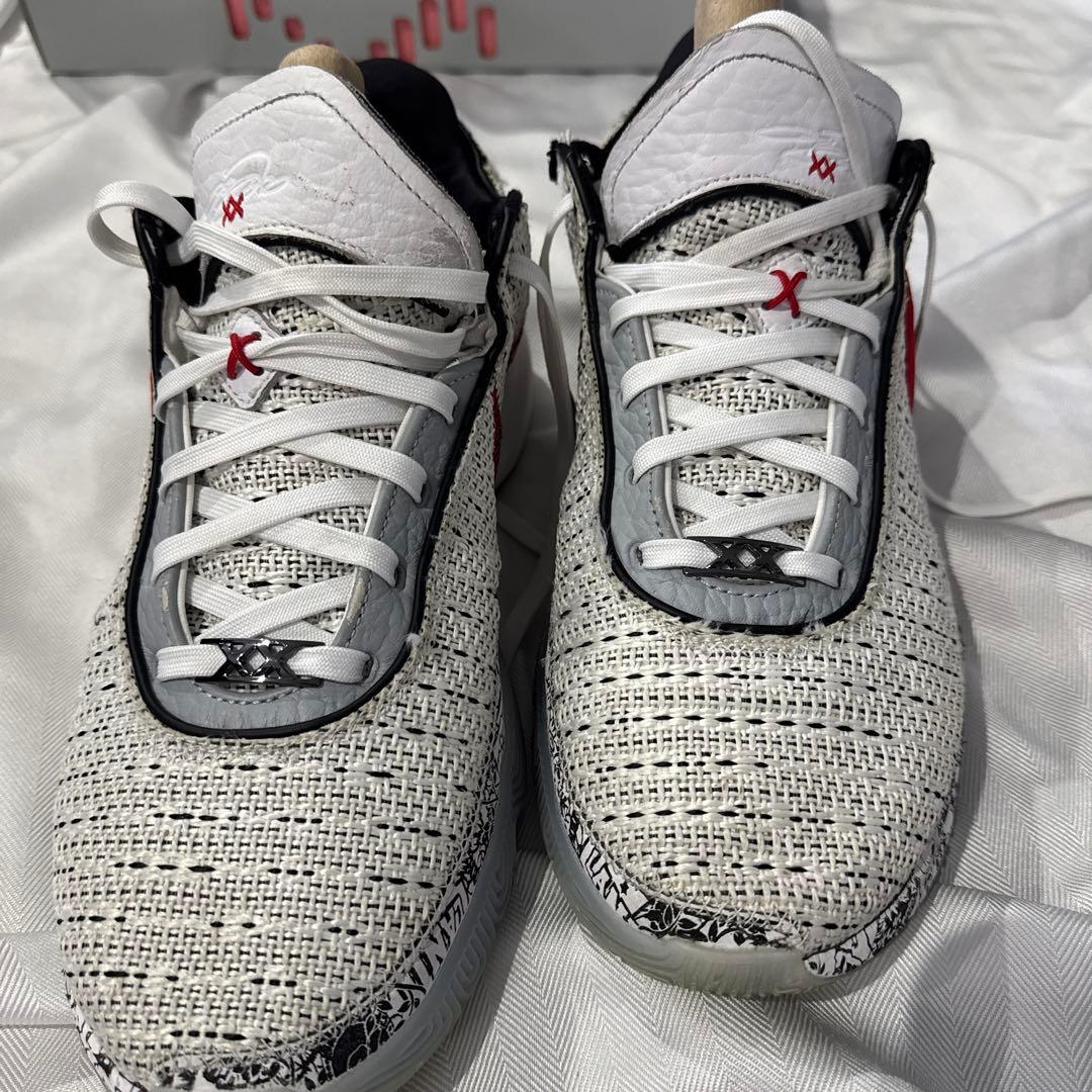 NIKE LEBRON 20 EP サイズ30cm