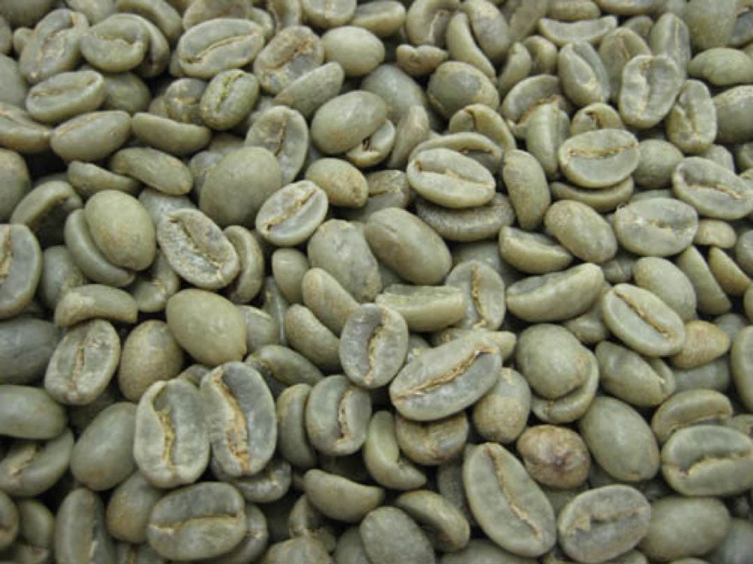 kohzy　4キロ　ブルーマウンテンNo.1 メルカリ最安