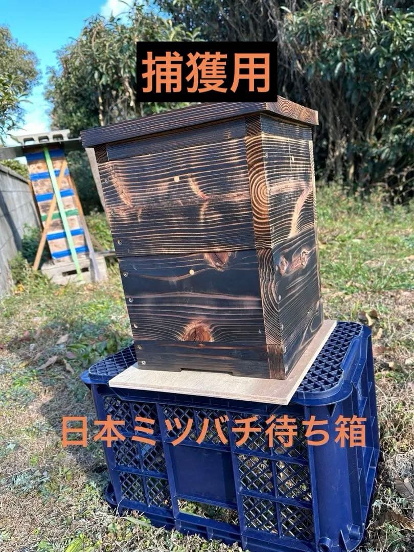 日本蜜蜂重箱式巣箱　捕獲飼育用