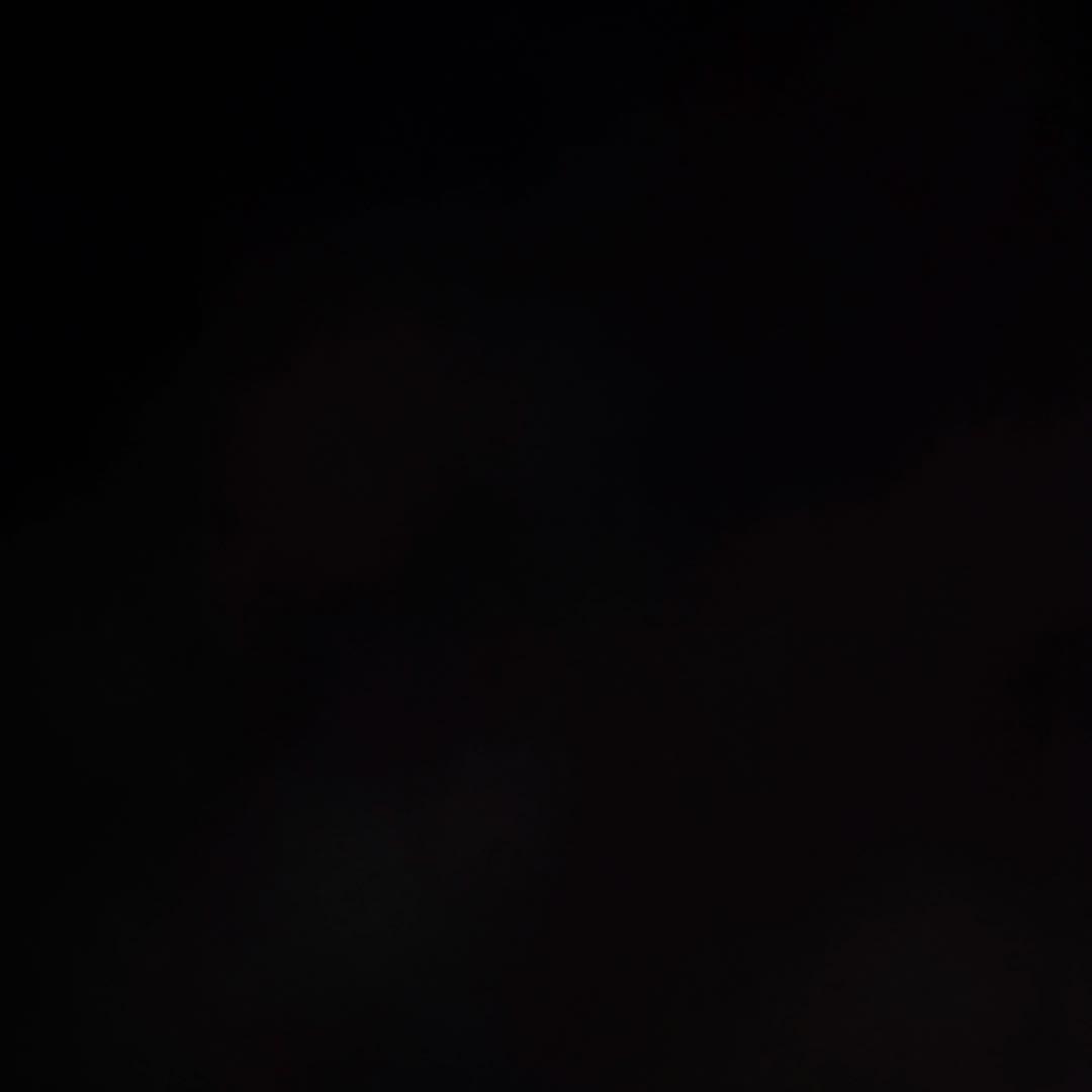 プーさんせんよう