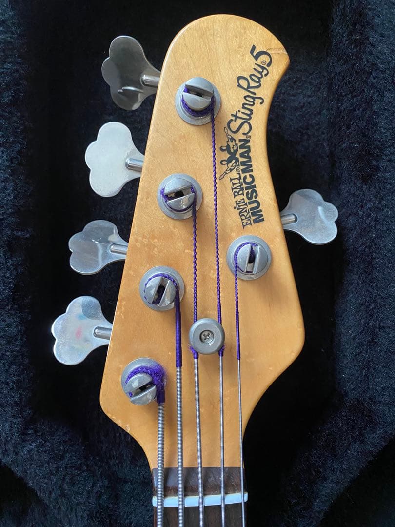 森匡　Musicman stingray 5