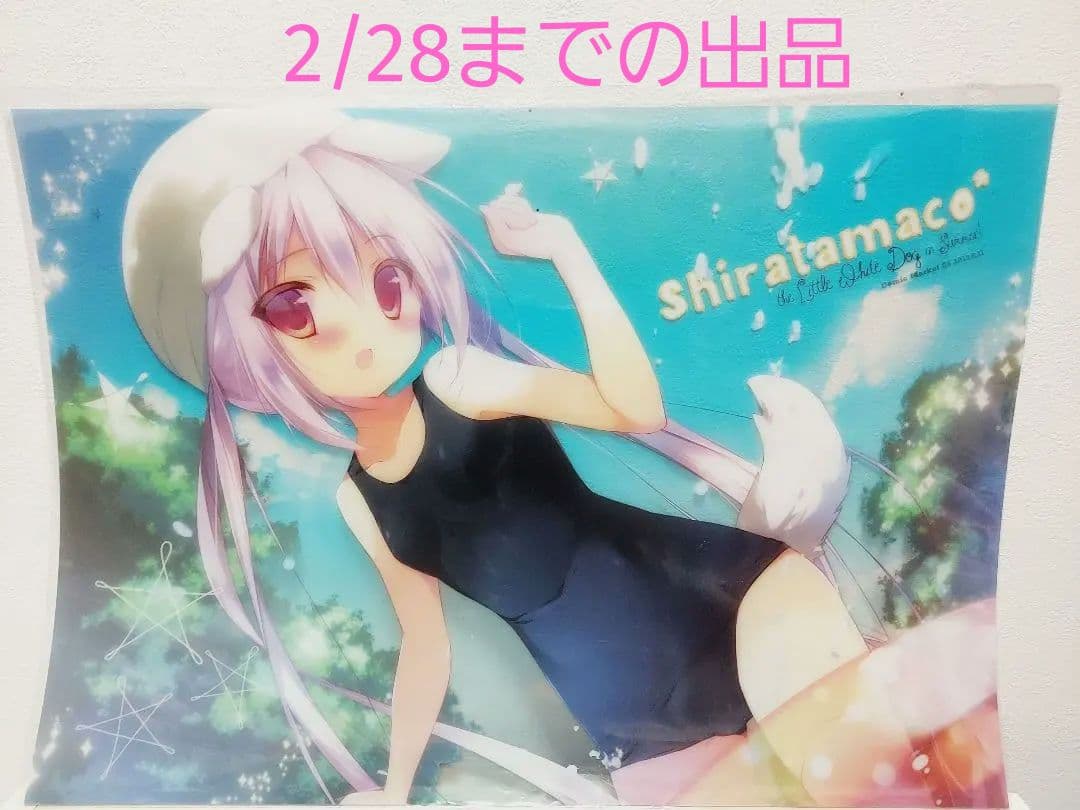 しらたまこ しろいいぬ　A3クリアハードポスター　C84　しらたま