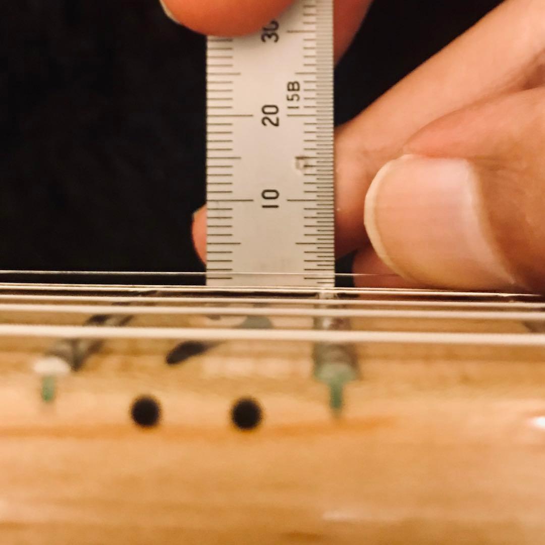 ギター Paul Reed Smith(PRS) JOHNNY HILAND 10TOP