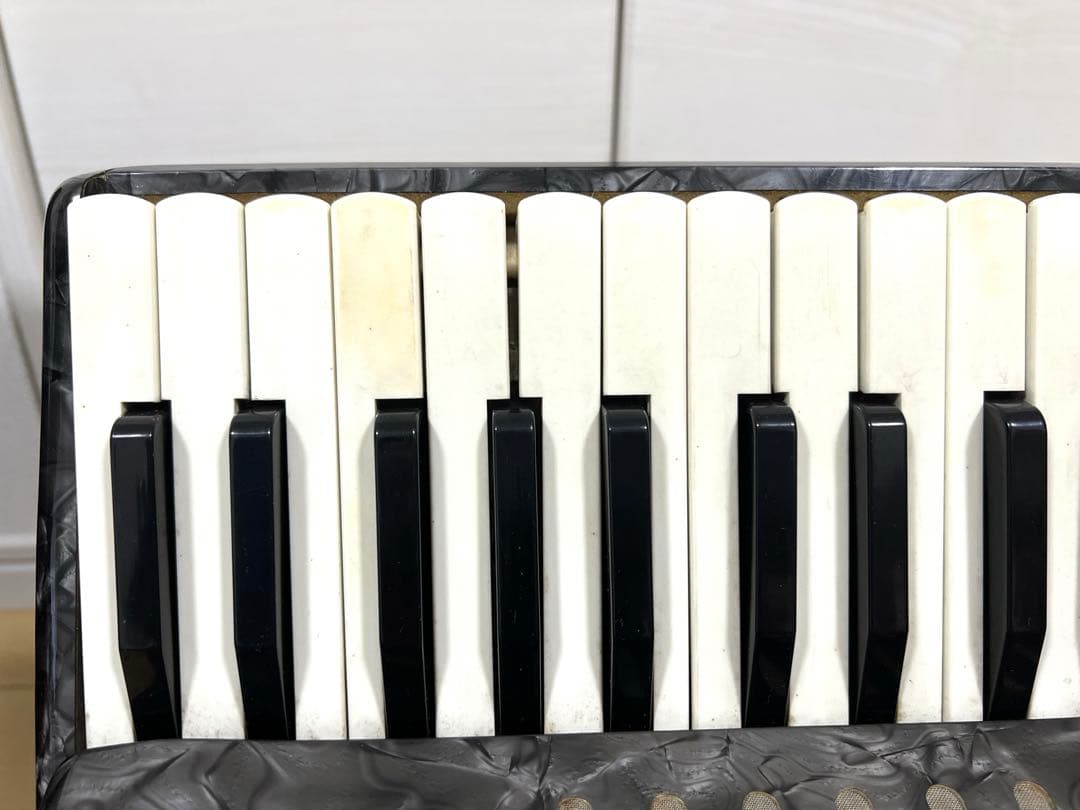 【希少】トンボ No.241 アコーディオン