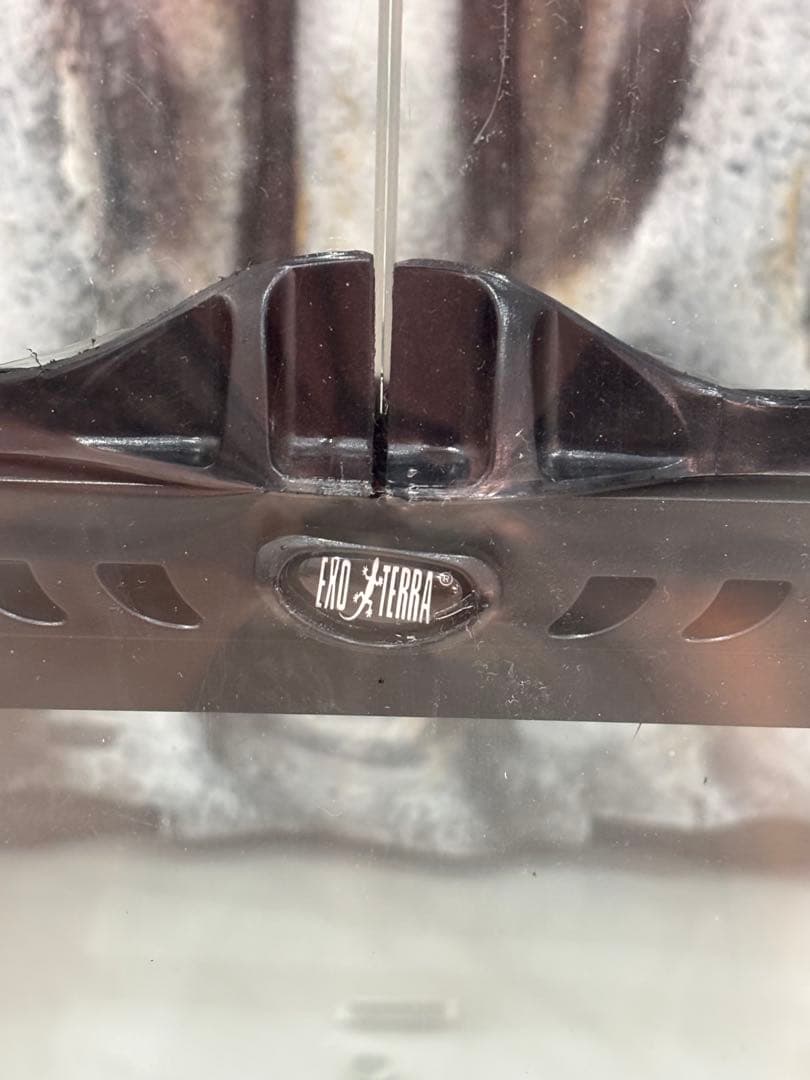 エキゾテラ　グラステラリウム3060 高さのあるハイタイプ　未使用　新品　未開封