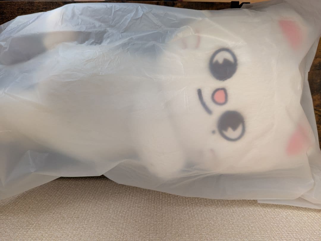 アイドル Stray Kids SKZOO PLUSH BAG Jiniret