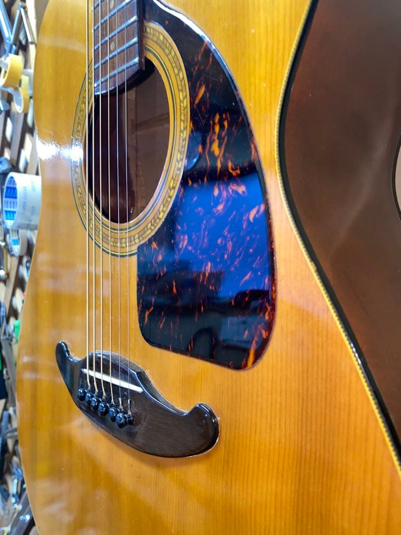 やっほー‼️貴重！トーカイTOKAI 　ハミングバード　０フレット