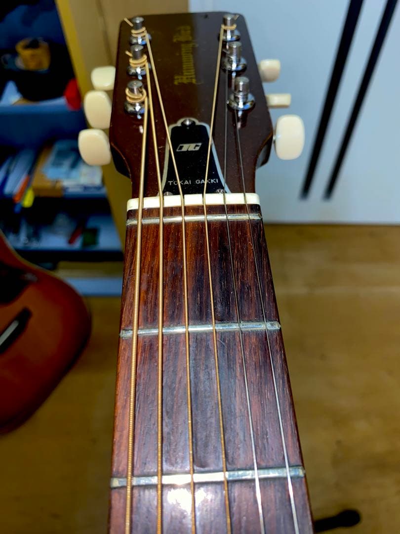 やっほー‼️貴重！トーカイTOKAI 　ハミングバード　０フレット